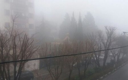 ببینید| فرو رفتن تهران در مه غلیظ؛ سعادت آباد محو شد!