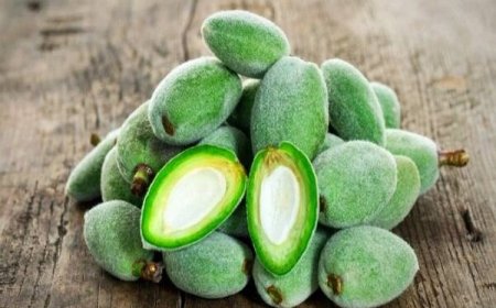 اگر زیاد چغاله بادام می‌خورید مراقب باشید