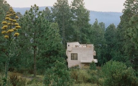 خانه‌ای زشت، خشن و جذاب در جنگل‌های مکزیک!