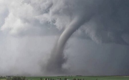 ببینید| گردباد در آمریکا ۷ نفر را به کام مرگ کشاند