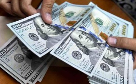 سناریوهای پیش‌روی بازار ارز در ۱۴۰۲