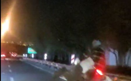 ببینید | دیوانه بازی یک موتور سوار در بزرگراه