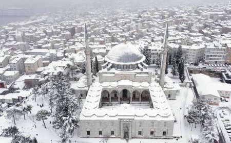 ببینید | استانبول در بهار سفید پوش شد!
