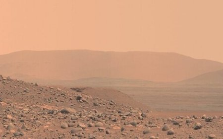 جنجالی ترین ادعا درباره مریخ از عجیب ترین مرد کره زمین!