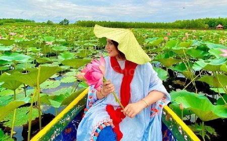 ببینید و لذت ببرید | خانه زیباترین نیلوفرهای جهان در گیلان