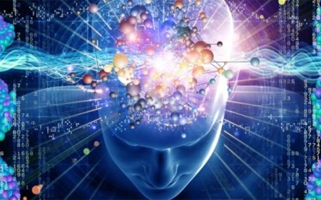 آیا مغز انسان مانند یک کامپیوتر کوانتومی کار می‌کند؟