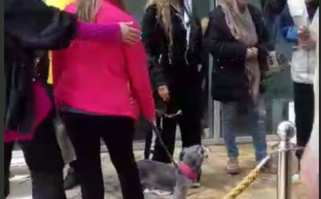 فیلم| ممانعت از ورود افراد بی‌حجاب به محوطه‌ی تاریخی طاق بستان کرمانشاه