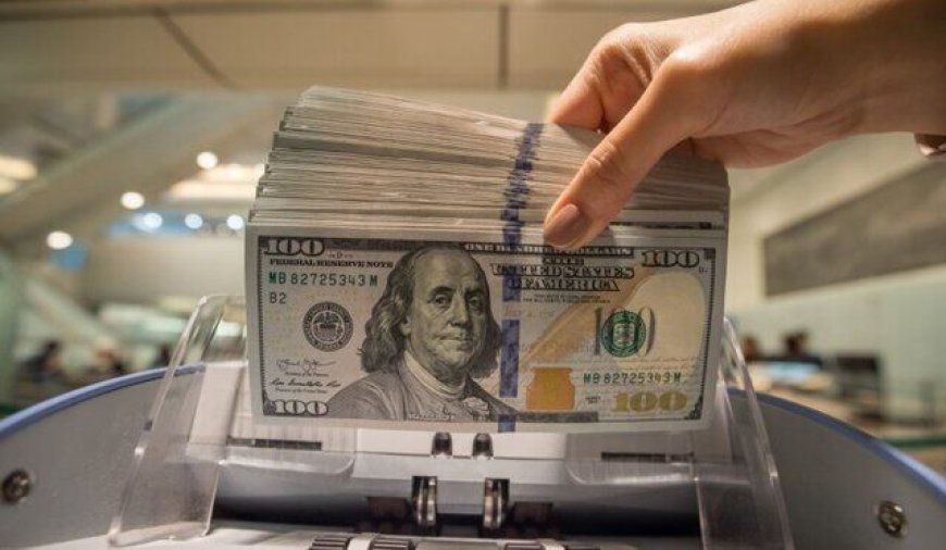 اخطار رئیس اتاق بازرگانی ایران و چین به ذخیره‌کنندگان دلار