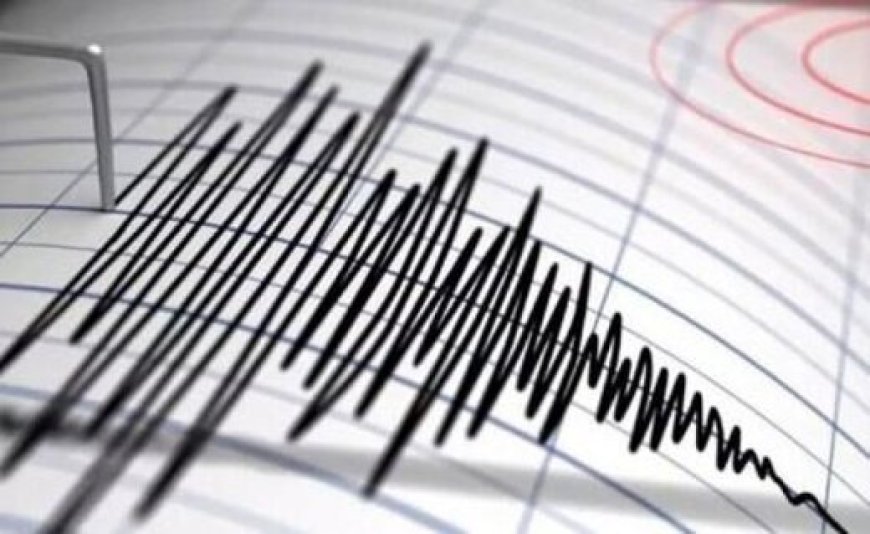 اولین آمار تلفات زلزله شدید پاکستان اعلام شد