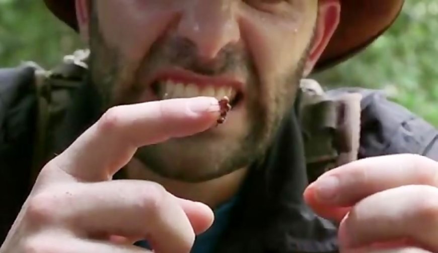 تصویری جالب و دیده نشده از لحظه گاز گرفتن مورچه از انسان