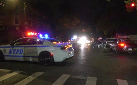 ببینید | لحظه حمله یک زن به پلیس و کتک خوردن شدید!