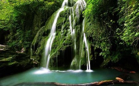 بازدید از بزرگ‌ترین آبشار خزه‌ای جهان را از دست ندهید