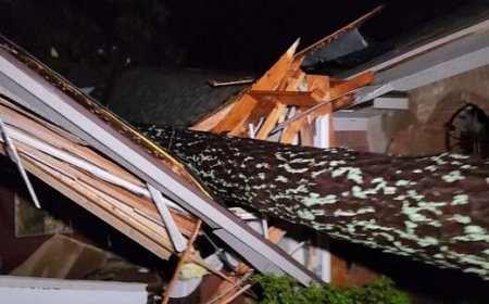 ببینید | تصاویری هولناک از طوفان شدید و سقوط درختان در جسکون ویل