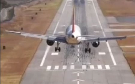 مهارت حیرت‌انگیز خلبان ایرباس در فرود هواپیما را تماشا کنید