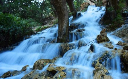 ویدئو| بهشت گمشده‌ای که در استان فارس پیدا شد