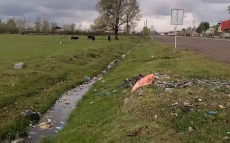 ببینید | تصاویری بسیار دردناک از جنگل‌های ایران پس از تعطیلات عید نوروز