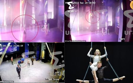 ببینید| ژیمناست نوجوان سقوط کرد و به کما رفت