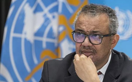 انتشار دیرهنگام گزارش «منشاء شیوع کرونا»