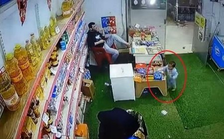 ویدئویی پربازدید از عجیب‌ترین سارق تاریخ!