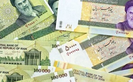 ادامه واریز غیرحضوری سود سهام