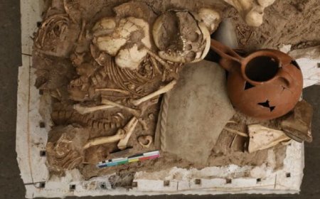 کشف اسکلت کودکان 3 هزار ساله در سگزآباد قزوین 