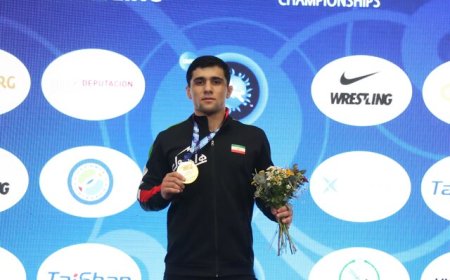 محمدی هم طلایی شد