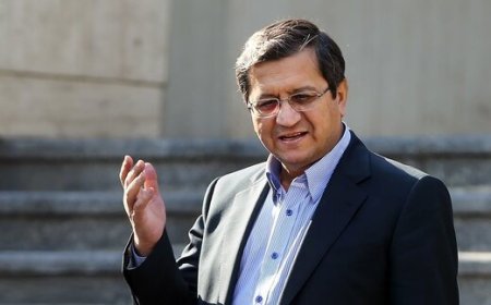 واکنش تند همتی به سه نرخ متفاوت ارز