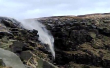 ببینید | آبشار عجیبی که آب در آن سربالا می‌رود!