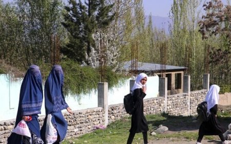 طالبان ورود به رستوران‌های روباز را برای خانواده‌ها و زنان در هرات ممنوع کرد