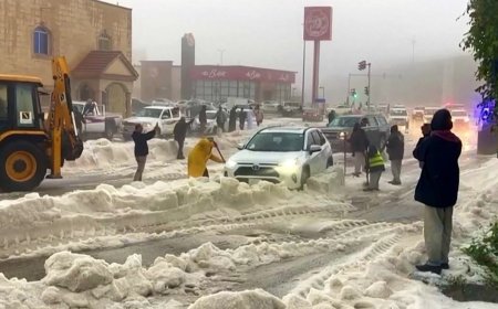فیلم| برف سنگین در عربستان
