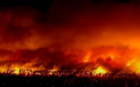 ببینید | آتش سوزی عظیم جنگلی آسمان منچستر را روشن کرد