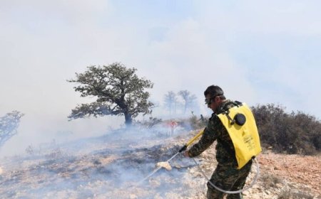 آتش سوزی در پارک ملی گلستان