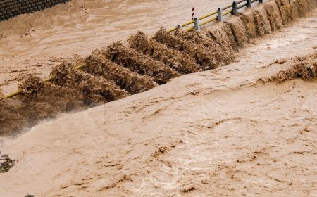 ببینید | یک پل در لرستان زیر آب رفت