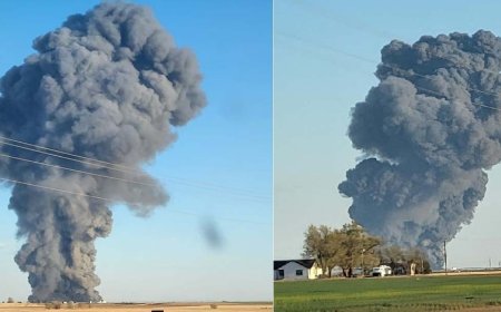 ببینید | مرگ دلخراش ۱۸ هزار گاو در پی انفجاری مهیب 