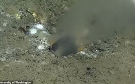 عکس| وحشت از زلزله‌ ۹ ریشتری با مشاهده حفره‌ ترسناک