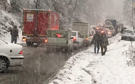 بارش برف و ترافیک سنگین در جاده چالوس