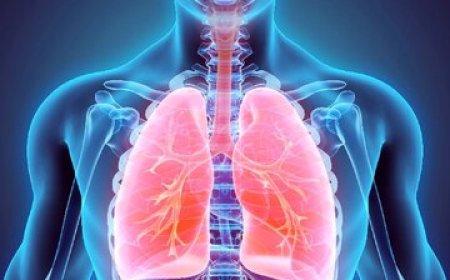 عامل اصلی مرگ‌ومیر ناشی از سرطان در جهان