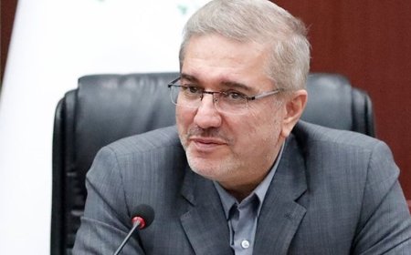 داوود منظور رئیس سازمان برنامه و بودجه شد