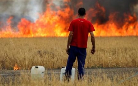 احتمال رکوردشکنی دمای هوای جهان در سال 2023