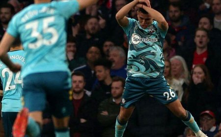 ببینید| خلاصه بازی آرسنال 3 - ساوتهمپتون 3