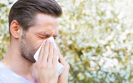 آلرژی بهاری خود را با استفاده از فناوری رفع کنید