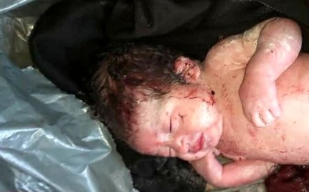 اتفاقی عجیب در تهران / کشف جسد نوزاد در سطل زباله! 