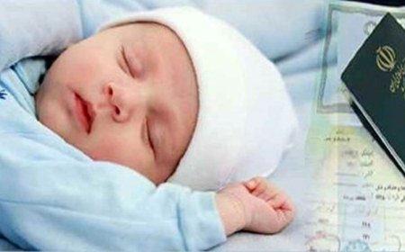 جزئیات نحوه تخصیص سهام به متولدین ۱۴۰۱ اعلام شد