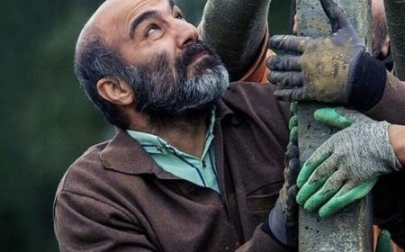 پای محسن تنابنده و هومن سیدی به چین رسید