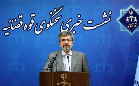 سخنگوی قوه قضاییه: پرونده نیلوفر حامدی و الهه محمدی به دادگاه انقلاب ارسال شد