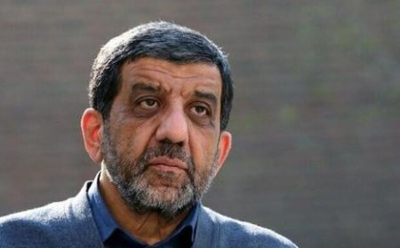 دلیل عجیب ضرغامی  برای استفاده از  کلمات خارجی