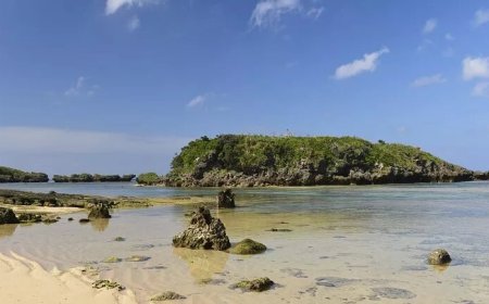 این جزیره ۲۱ هکتاری را می‌توان با ۳۵ میلیارد تومان خرید