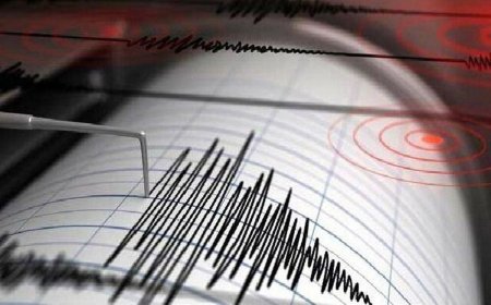 زلزله استان فارس مصدوم نداشت