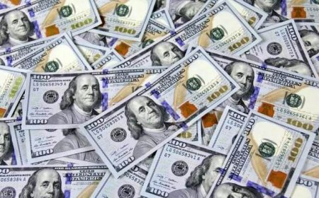 عکس| ماجرای مردی که هزاران اسکناس را از ماشینش به بزرگراه پرتاب کرد