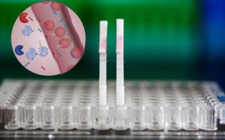 تشخیص زودهنگام سرطان با یک تکه کاغذ! 